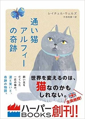 通い猫アルフィーの奇跡.jpg